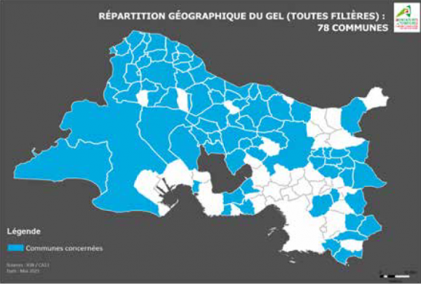 Répartition géographique du gel sur les 78 communes